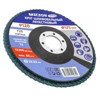 Круг шлифовальный лепестковый комплект МЕГЕОН 61010-10