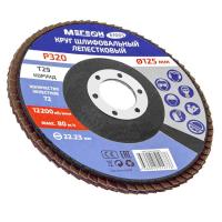 Круг шлифовальный лепестковый комплект МЕГЕОН 61005-10